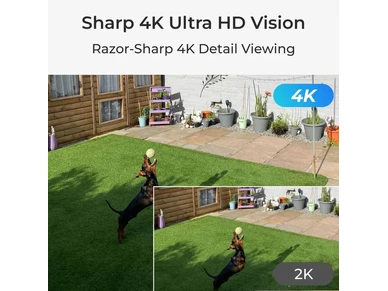 26731_5398338_6 kuva
