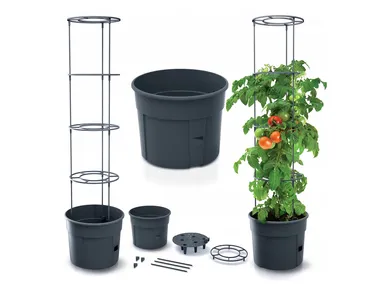 5905197289113_1 kuva