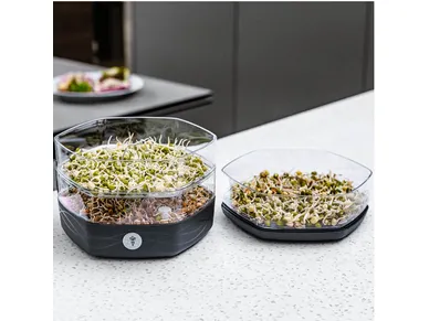 8595096985468_1 kuva