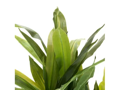 6410413131415_2 kuva