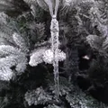 6412740130635-1