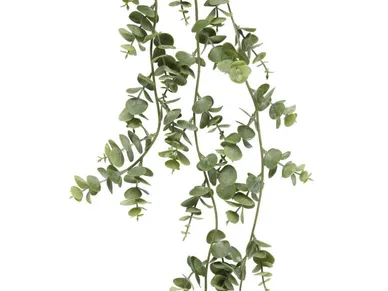 6410416038629_1 kuva