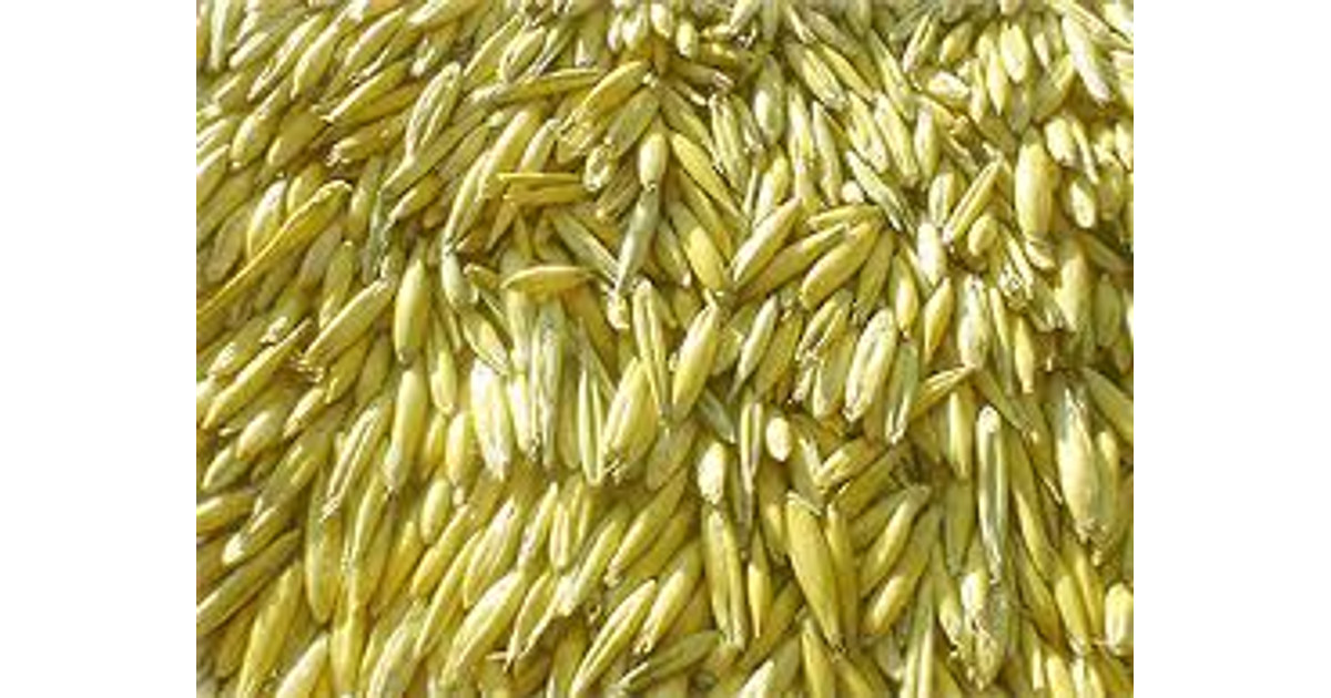 Kaura 20kg kaura-20kg