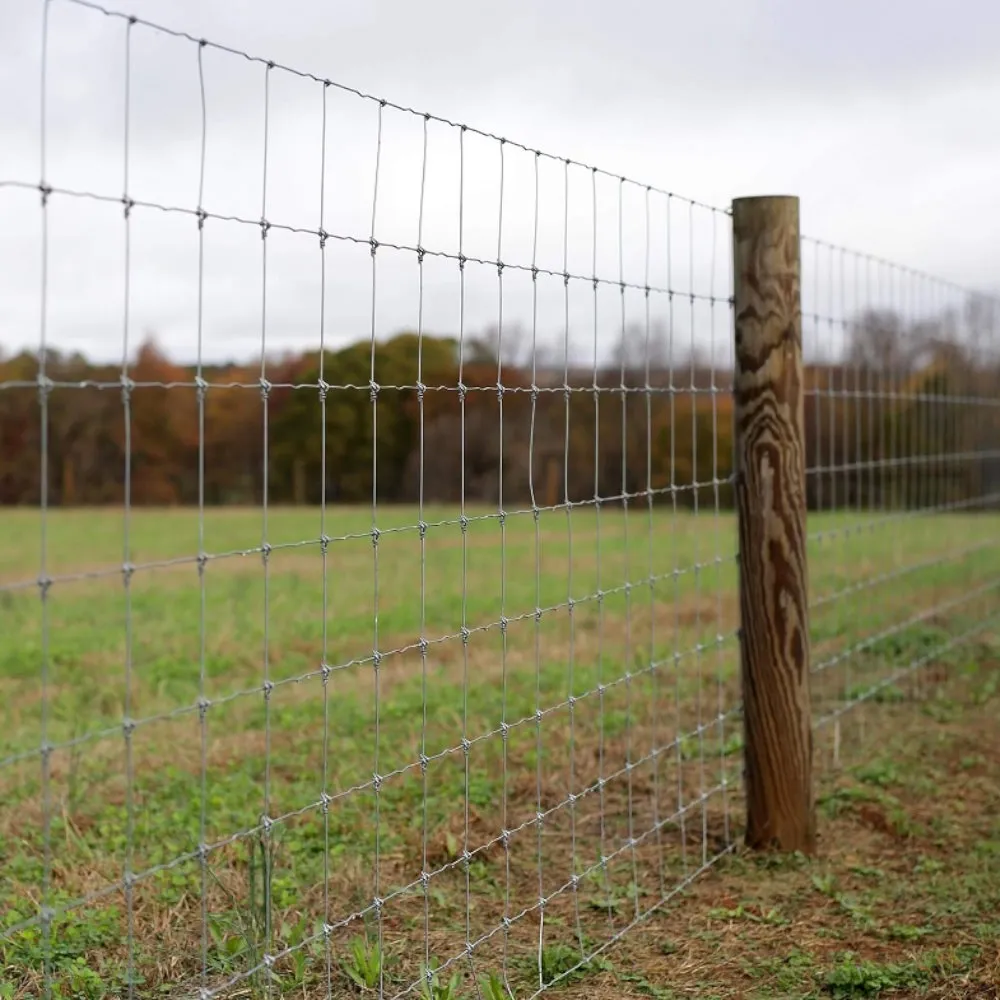 laidunverkko-50m kuva