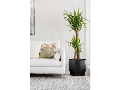 orthex-altakasteluruukku-iso kuva