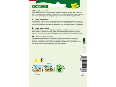 5708787011091_hornum_koriander_marino_1 kuva