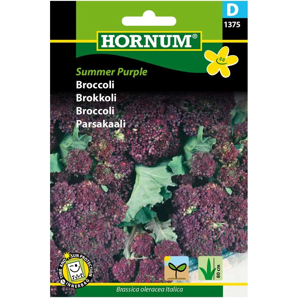 5708787013750_hornum_parsakaali_summer_purple kuva