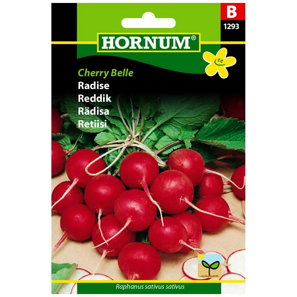 5708787012937_hornum_retiisi_cherry_belle kuva