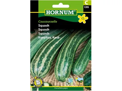 5708787013958_hornum_kesäkurpitsa_coucourzelle kuva