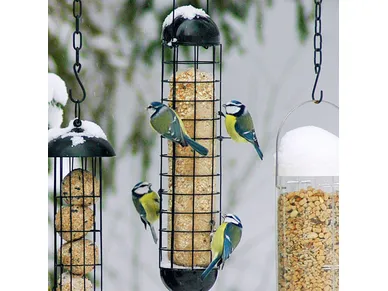 6410413218871_1 image