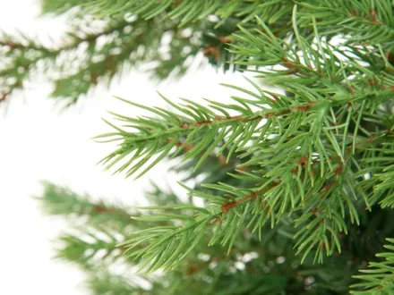 6410413079717_joulukuusi_premium_muovikuusi