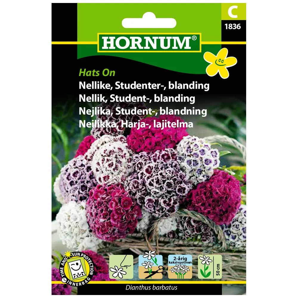 5708787018366_HORNUM_HARJANEILIKKA kuva