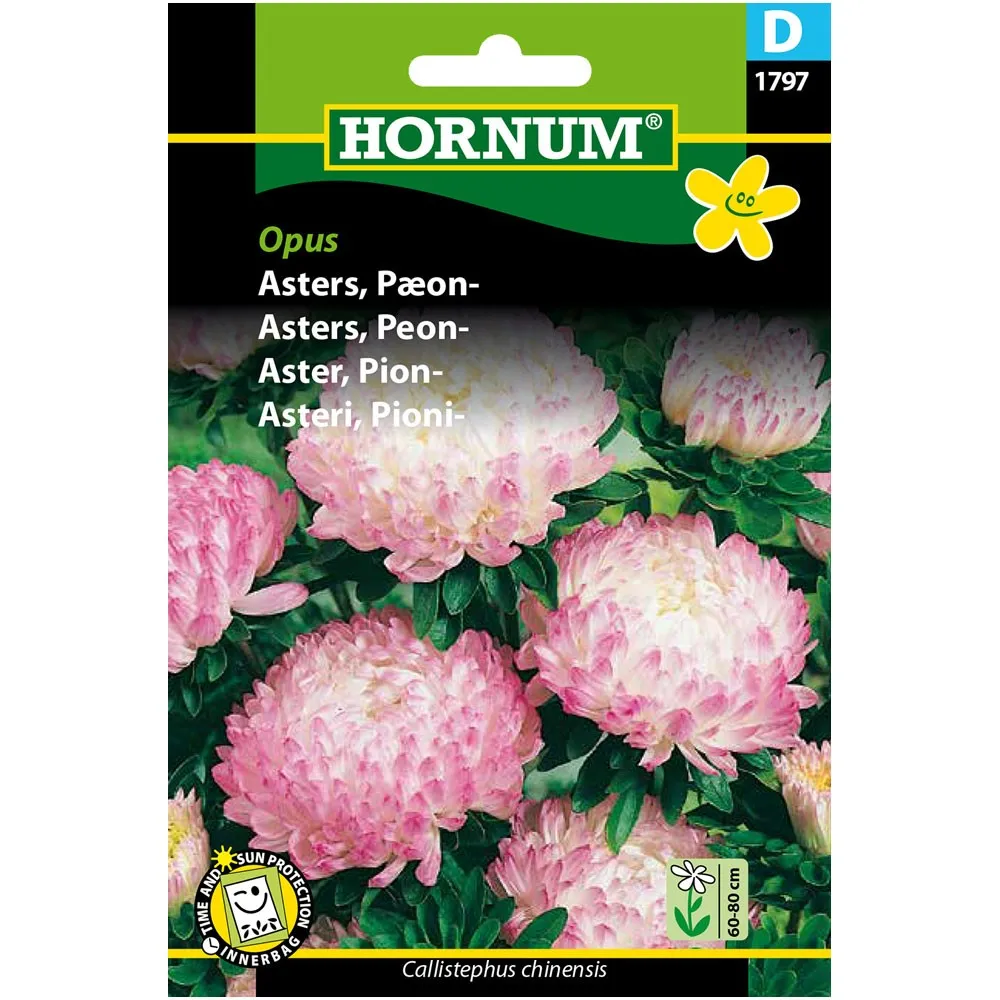 5708787017932_HORNUM_ASTERI_PIONI kuva
