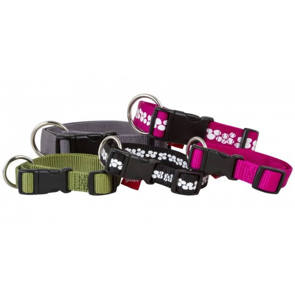 Best Friend Outdoor Panta 15 Mm X 45 Cm