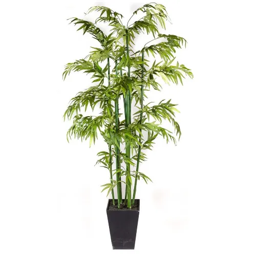 BAMBU kuva