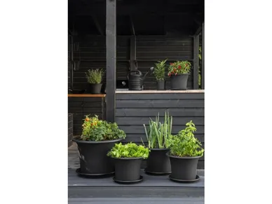 orthex-botanica-ruukut kuva