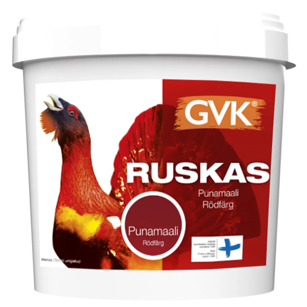 gvk-ruskas-punamaali kuva