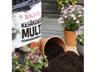 biolan-kesakukkamulta kuva