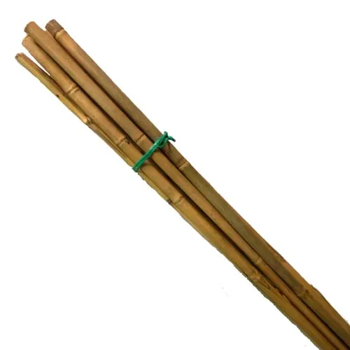tukikeppi-bambu kuva