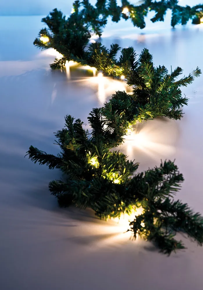 6435200176288_airam_havuköynnös_oksat_1 kuva