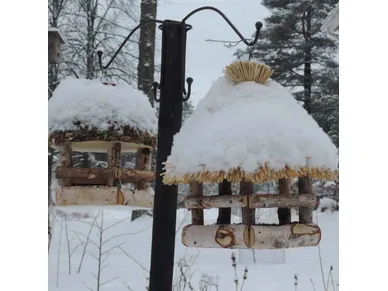 6430040626986_1 image