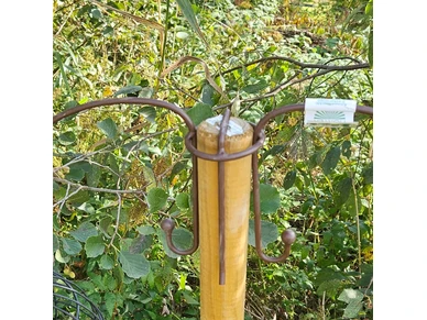 6430040626986 3 image