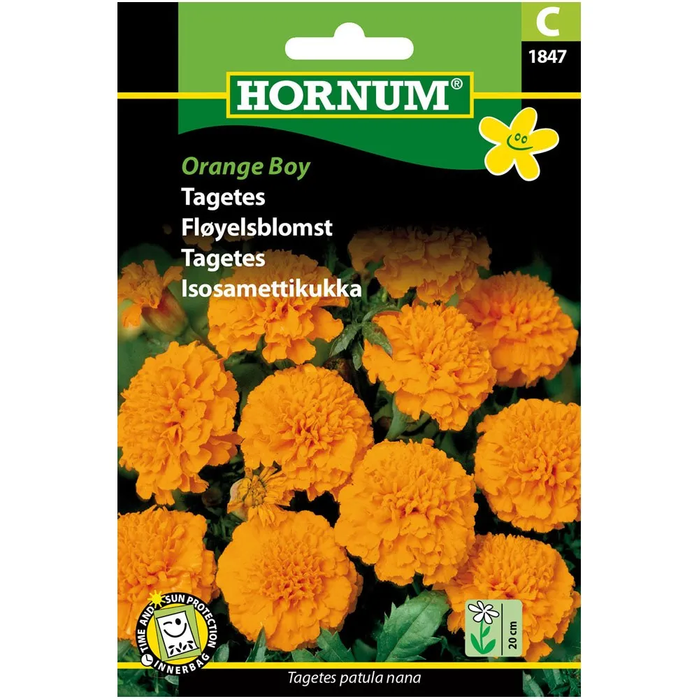 5708787018472_HORNUM_ISOSAMETTIKUKKA_ORANGE_BOY kuva