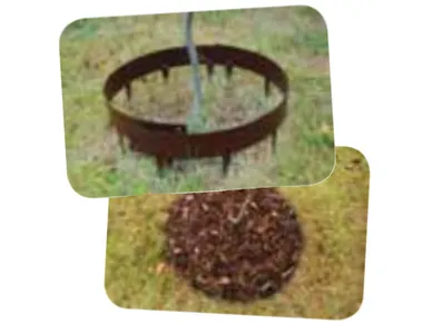 6430068430084_METALLIREUNA_YMPYRÄ_NURMIKONREUNA image