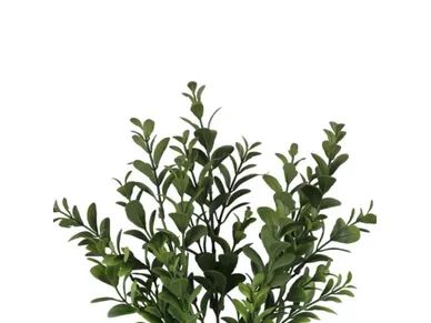 6410416391632_1 image