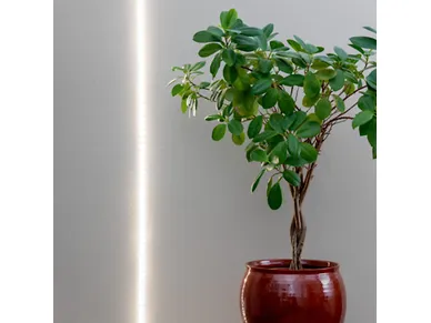 6435200016430_1 image