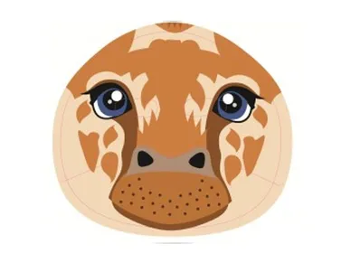 6410416231433_2 kuva