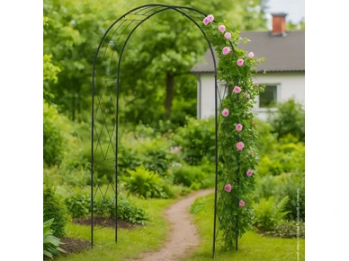 6410416452579 1 image