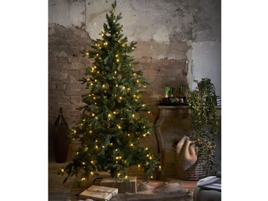 7391482026958 1 image