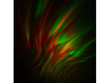 6410416484808 3 image