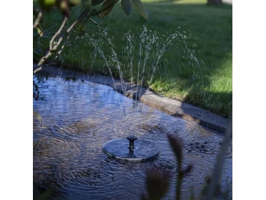 7391482063236 5 image