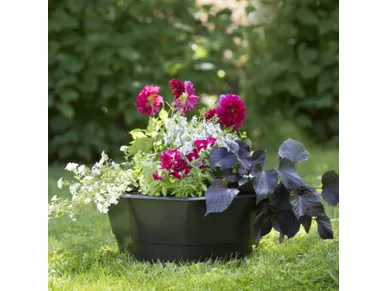 6411961057103_1 kuva