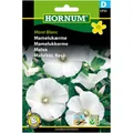 5708787017116_HORNUM_KESÄMALVIKKI