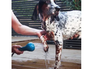 6410413300866_1 kuva