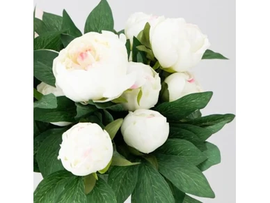 6410412182197 2 kuva