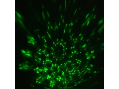 6410416279497 3 image