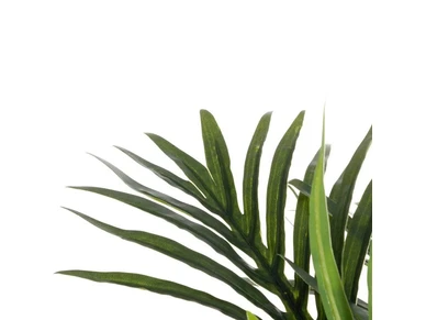 6410416435824 1 kuva