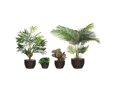 6410416453538 1 kuva