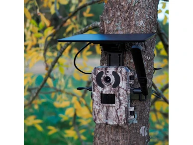 6418536028711 2 image