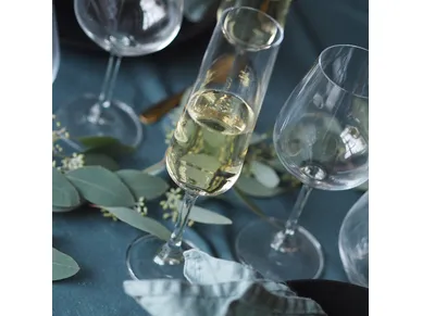 6410412968845_1 image