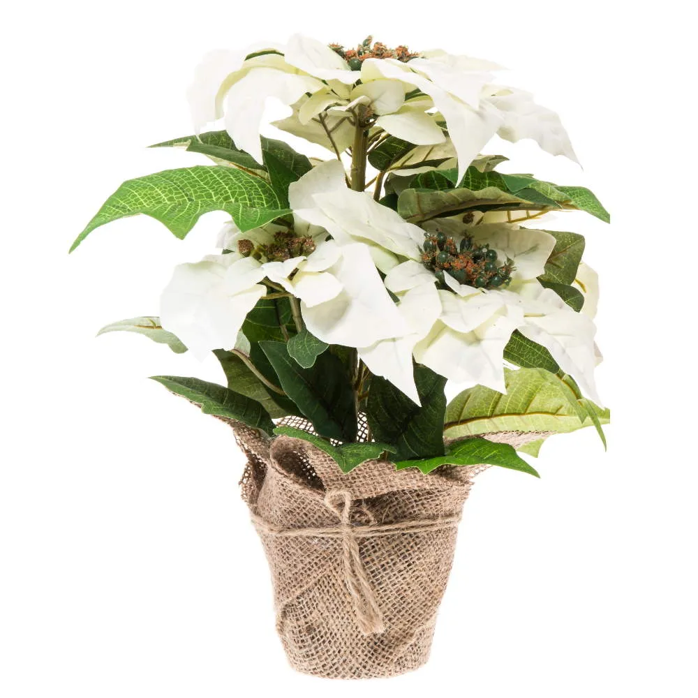 6410412676597_1 image