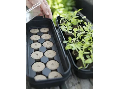 6411961055123_1 image