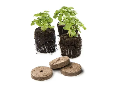 6411963055121_3 kuva