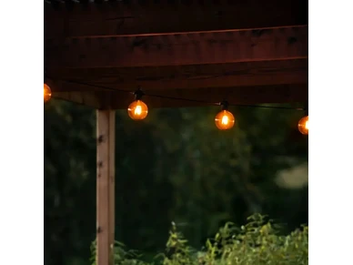 7318302393861 1 image