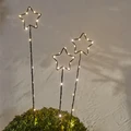 7391482069702 1