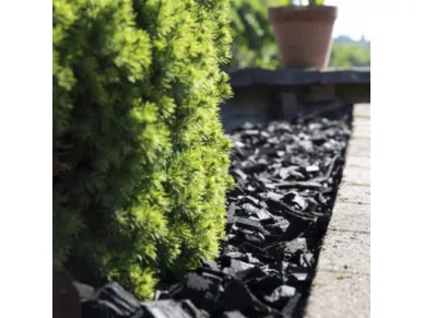 6411961056120_1 kuva